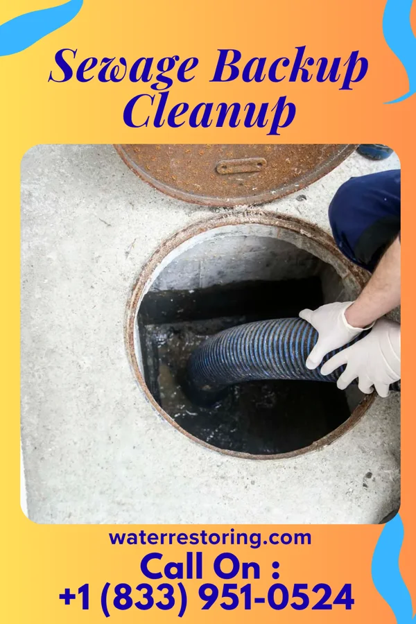 Sewage Backup Cleanup in Old Town, ME
